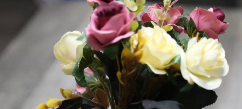 海林大隐艺术观影民宿图片