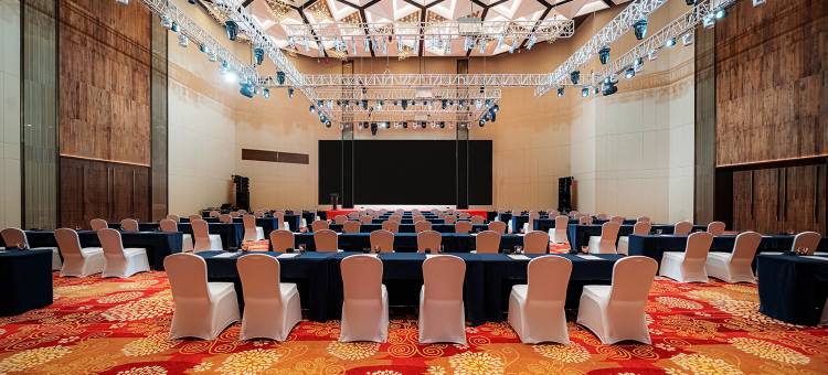 南通维景国际大酒店图片