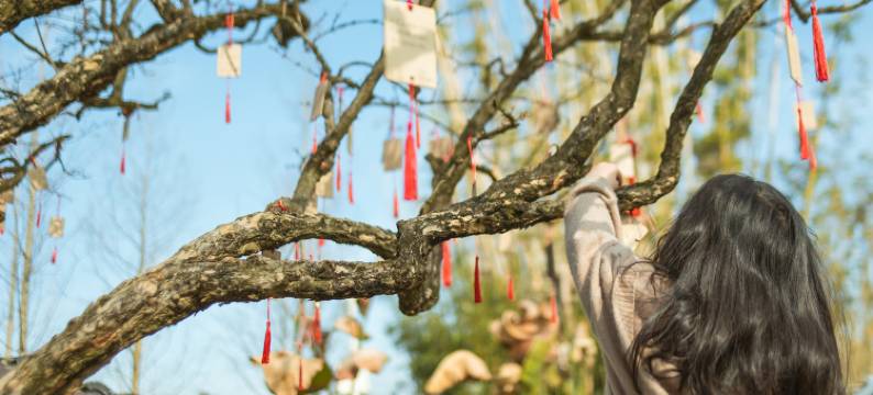 大邑千里走单骑·大地之眼民宿图片