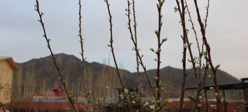 别情小院农家乐(白杨沟店)图片