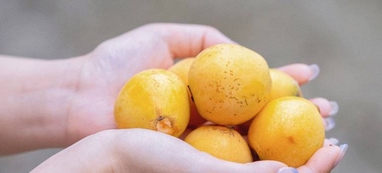 崇阳枧港民宿图片