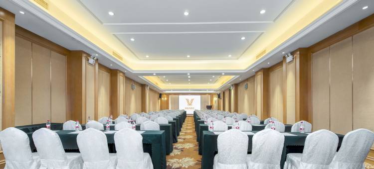 维也纳酒店(郑州只有河南电影小镇店)图片