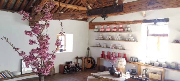 大理净地·瑜伽禅修酒店图片