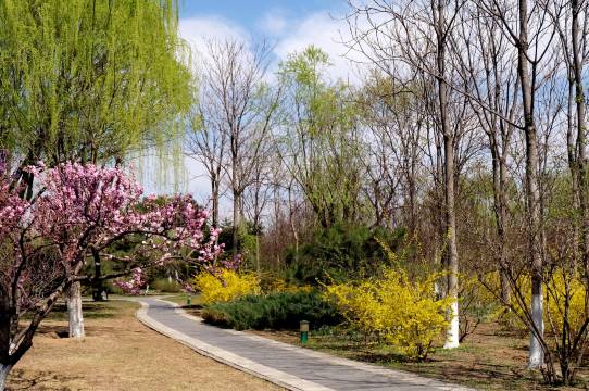 北京和园景逸大酒店图片