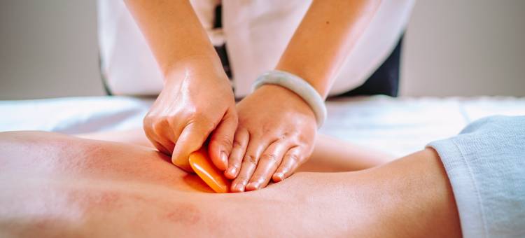 如意山海·康养酒店(北戴河野生动物园店)图片