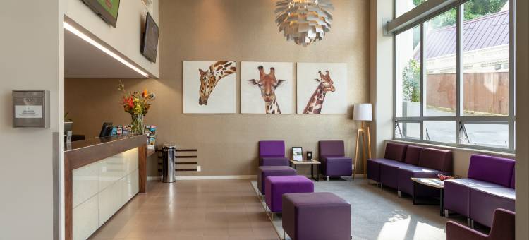 布考特套房酒店(Boulcott Suites)图片