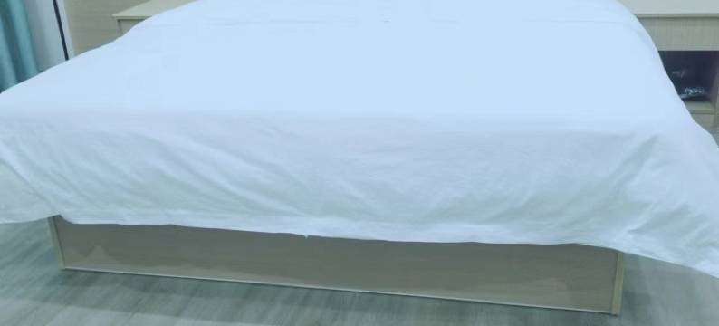 新干溧江镇轩驿民宿图片