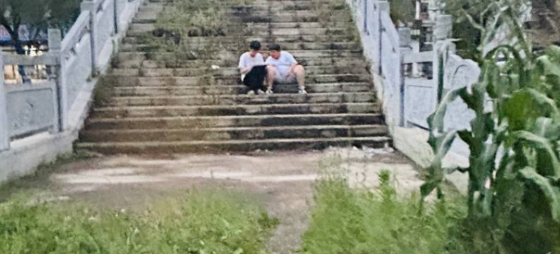 大方桃花源大酒店图片