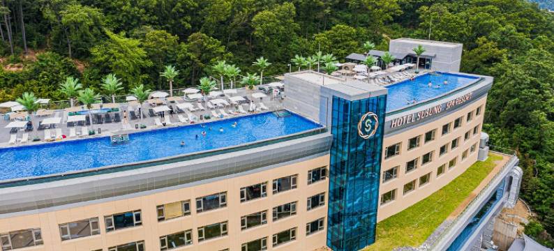 苏松酒店(Hotel Susung)图片