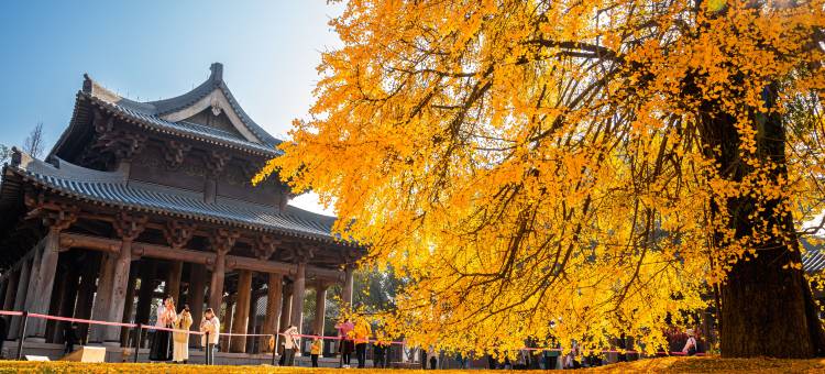 濮院时尚古镇濮锦大酒店图片