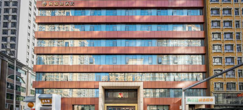 桐楠格大酒店(哈尔滨中央大街店)图片