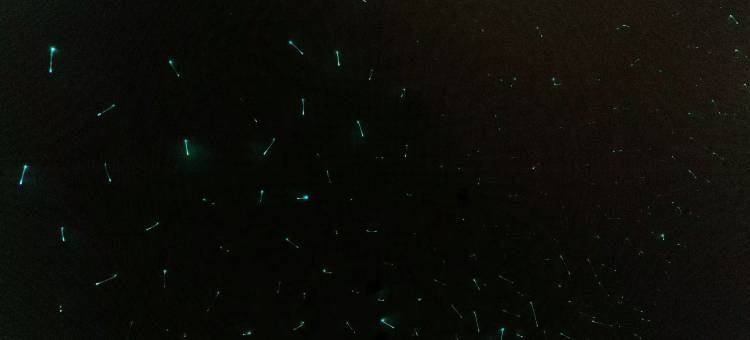 凰庭酒店(大同古城店)图片