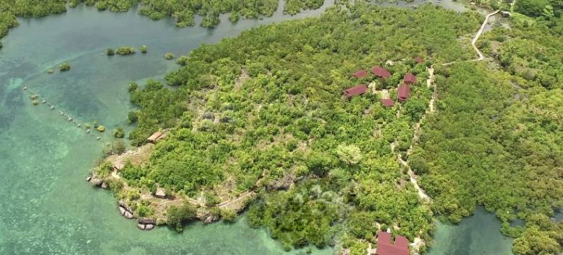 Eskapo Verde 旅馆 莫阿尔博阿尔(Eskapo Verde Lodge)图片