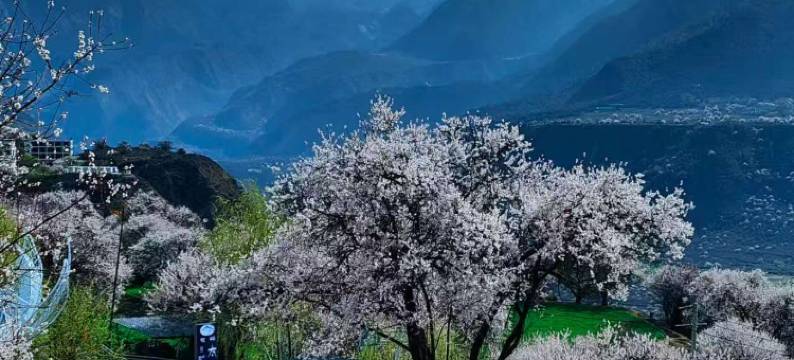 三生三世太空舱茗苑图片