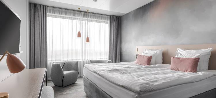 布雷克索考斯火烈鸟酒店(Break Sokos Hotel Flamingo)图片