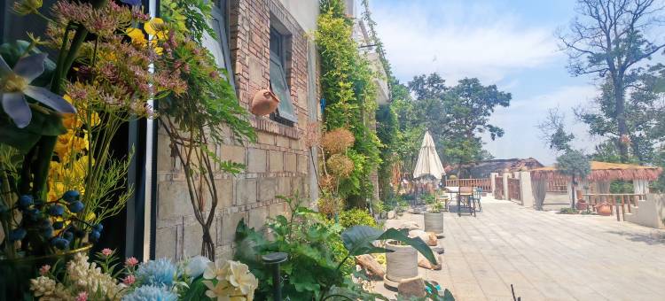 屿秦月民宿(西安蓝田荞麦花海店)图片