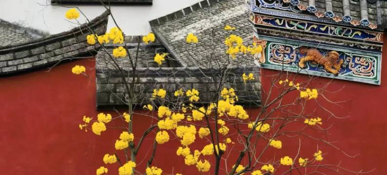 格林豪泰智选酒店(福州三坊七巷南门兜地铁站店)图片