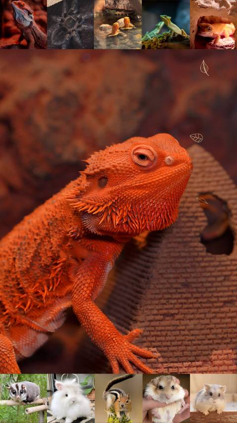 北京世园凯悦嘉轩酒店图片