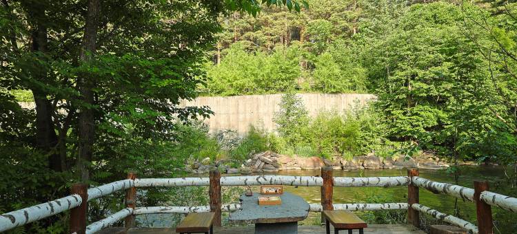 伴山溪悦·Pine·观松套房酒店(长白山美人松雕塑公园店)图片