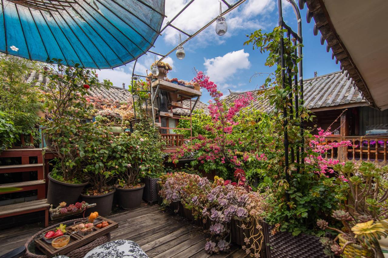 花筑·月半湾·雪山屋顶Coffee·花海漫步设计师庭院(丽江古城店)图片