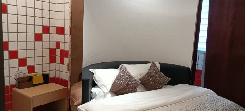 卢氏金桥四季主题酒店图片