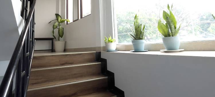 加拉埃拉港卡塔帕旅馆(Catappa Lodge Puerto Galera)图片