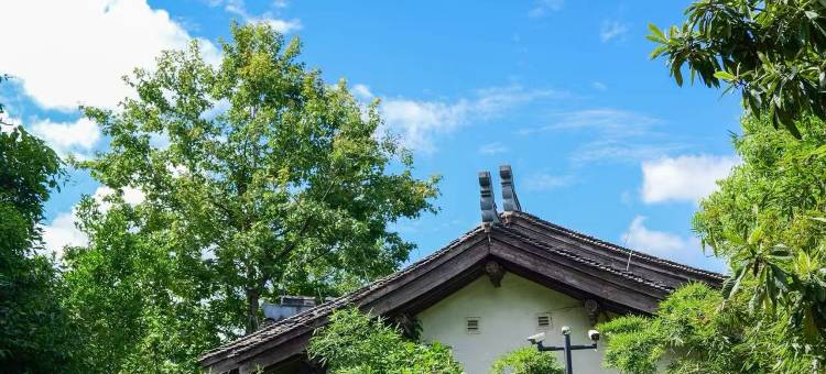 杭州天域开元观堂图片