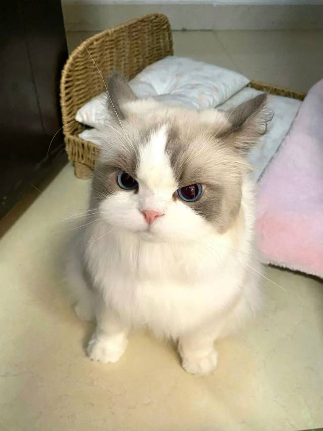 河源轻悦酒店(亚洲第一高喷泉店)图片