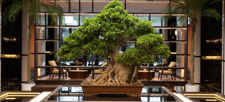 保定易县得文君澜大饭店图片