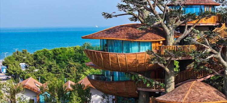 日照开元森泊度假酒店图片