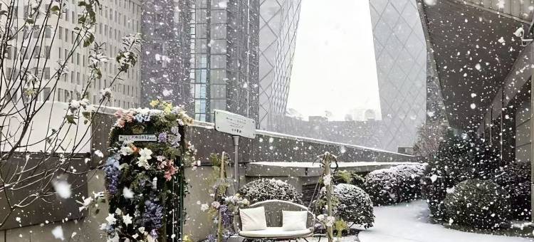 北京嘉里大酒店图片