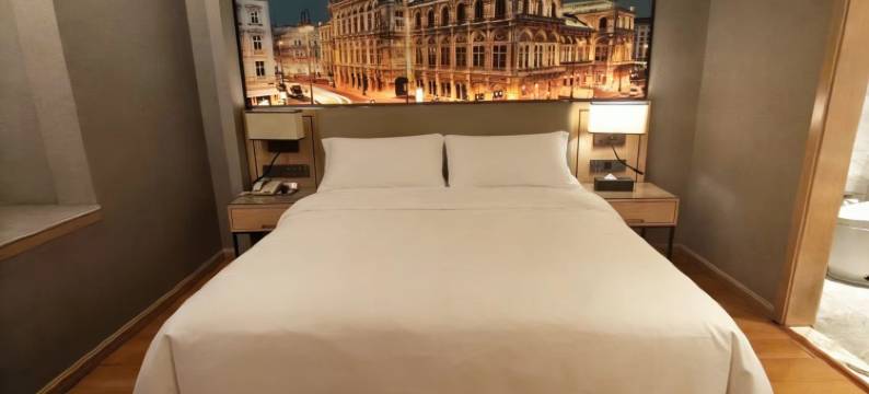 维也纳酒店(绍兴柯桥店)图片