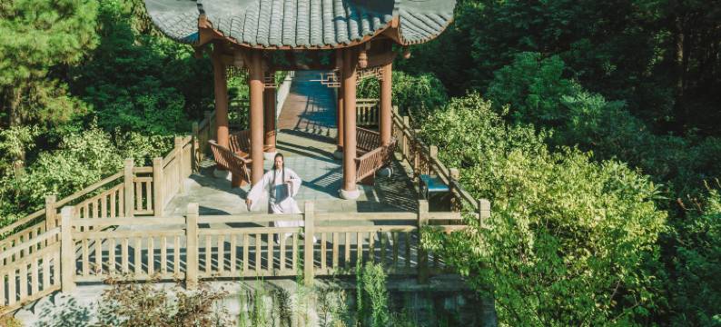 重庆美利亚酒店图片