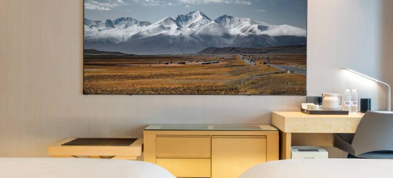 麗枫酒店(乌鲁木齐高铁站万达广场店)图片