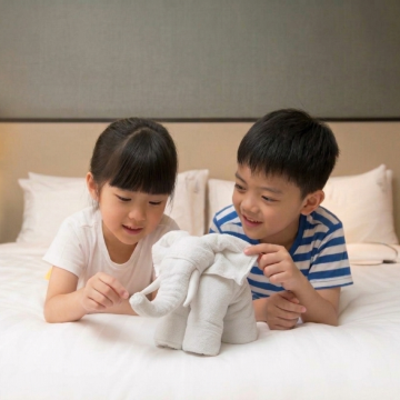 新加坡雅庭假日酒店(Holiday Inn SINGAPORE ATRIUM by IHG)图片