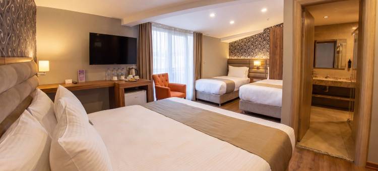 伊斯坦布尔马赫穆特贝伊精英世界旅馆(Elite World Inn Istanbul Mahmutbey)图片