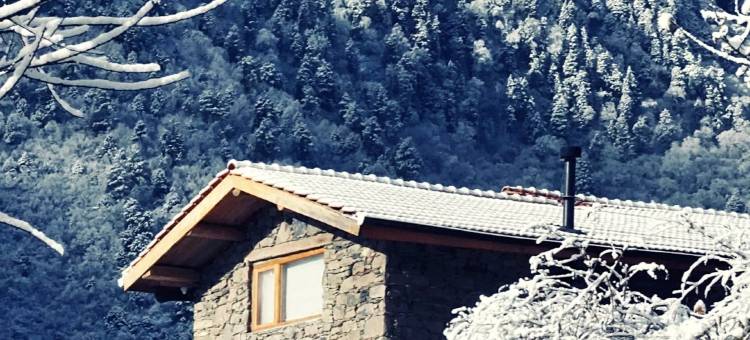 茶马岁月民宿图片