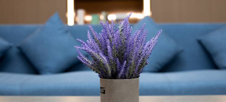 麗枫酒店(上高中心店)图片