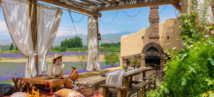 霍城见树民宿(晃晃村店)图片