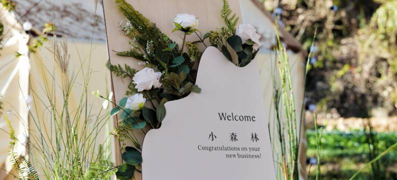 云溪泊岸·星空泳池溪畔轰趴·独栋Villa设计师民宿图片