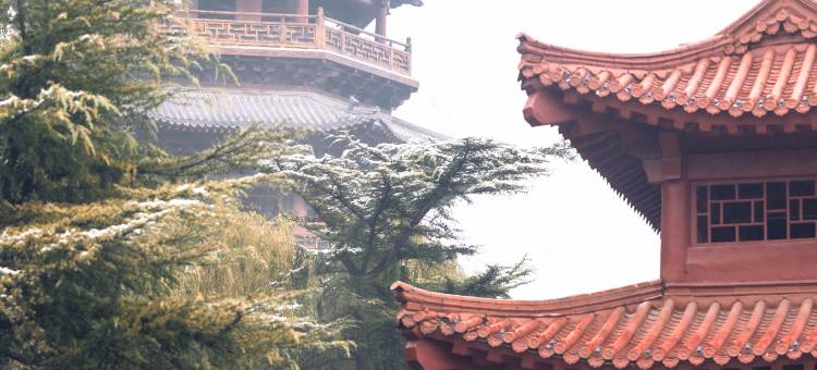 清照泉城古城酒店(明水古城店)图片