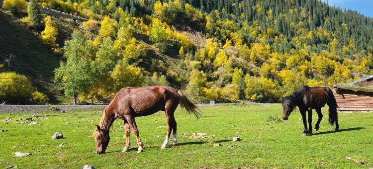 喜洲酒店(库车火车站东湖店)图片