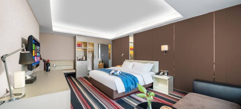 乌鲁木齐八音和酒店(国际大巴扎人民电影院店)图片