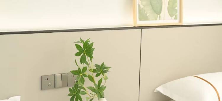 湄洲岛清风念屿民宿(妈祖庙店)图片