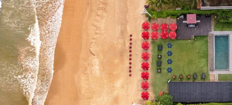 蔚十五沙湾(W15 Weligama)图片