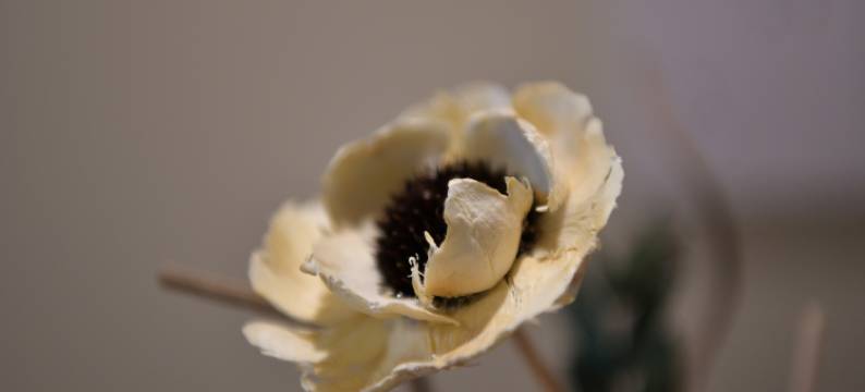 花拾涧民宿(江北大学城地铁站店)图片