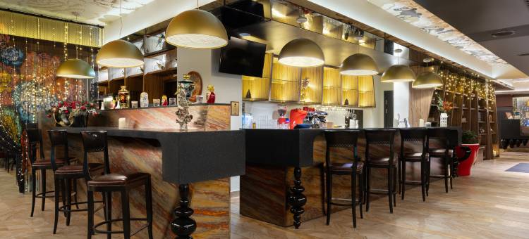 圣彼得堡桑娅丽笙酒店(Radisson Sonya Hotel Saint Petersburg)图片