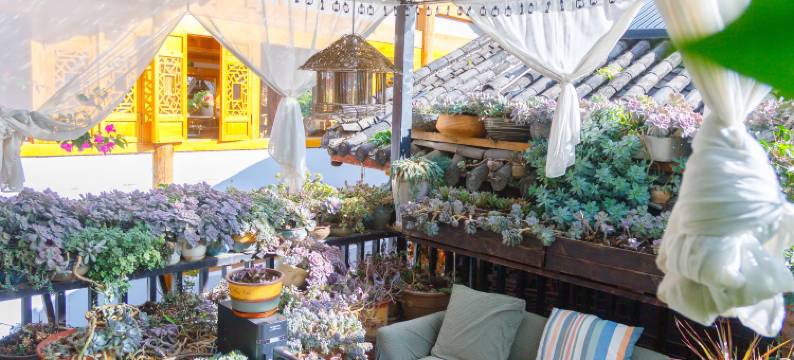 丽江束河玥色溪畔花园客栈图片