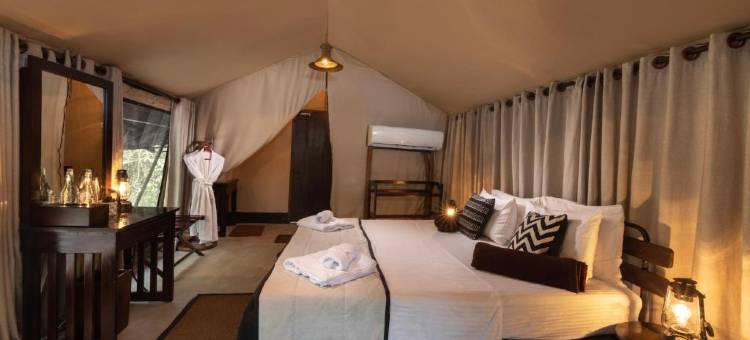 韦帕图花豹小径旅馆(Leopard Trails Wilpattu)图片