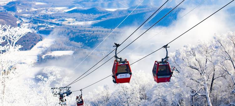 清风雅舍民宿(亚布力滑雪旅游度假区店)图片